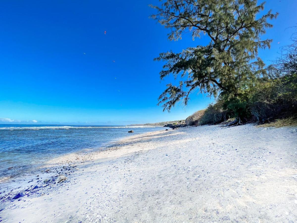 Le Petrel Bleu - Appartement Sur La Plage Des Tortues A Saint-Leu Exteriér fotografie